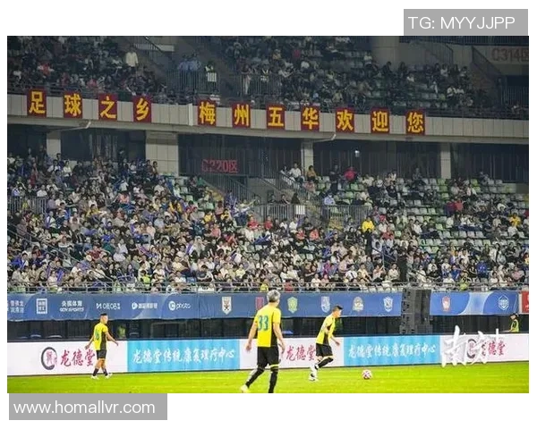 侯姓足球明星的辉煌历程与成就分析 侯姓足球明星的辉煌历程与成就分析