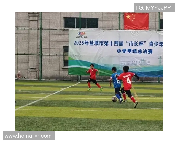 学校足球的规模与影响力探讨如何推动青少年体育发展